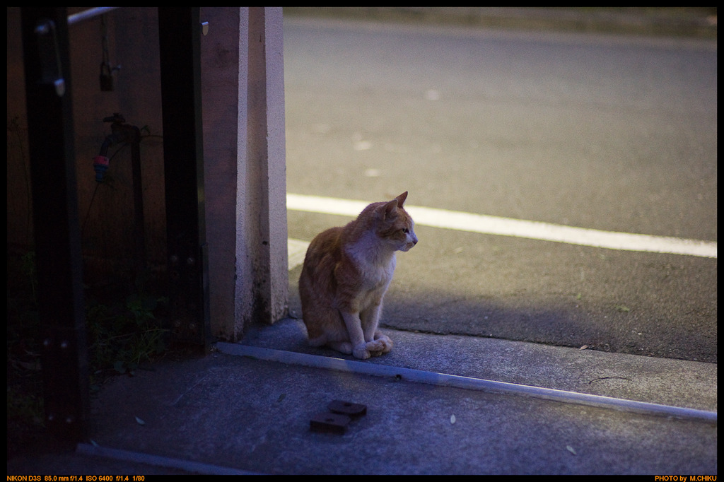 Ogasawaratei,Kawadacho Shinjuku-ku