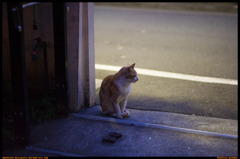 Ogasawaratei,Kawadacho Shinjuku-ku