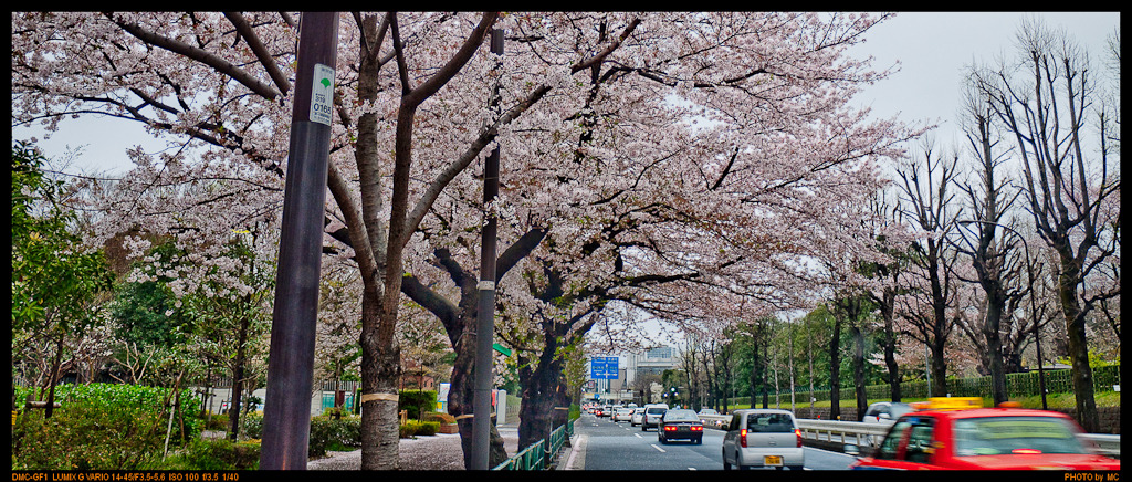 4499831290_8e2e832020_o[1]