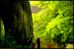 Park at night Zoshigaya 2-chome
