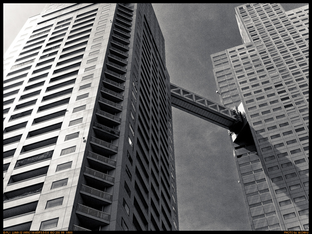 ST Luke's Garden Tower