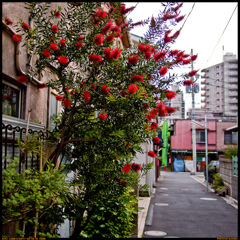 Yanaka 2-chome
