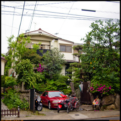 The house with strange decorations