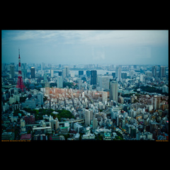 Tokyo City View