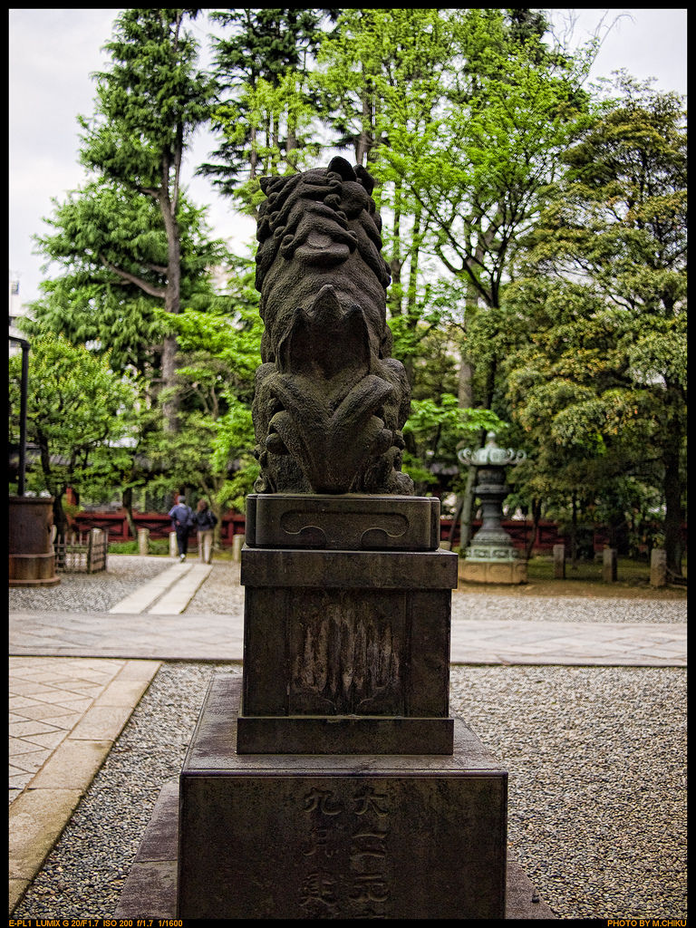 Back view of guardian dogs