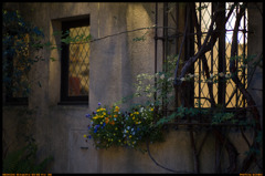 Ogasawaratei,Kawadacho Shinjuku-ku