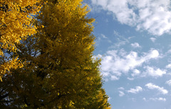 車窓景　02/Dec/2009