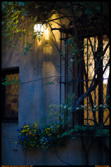 Ogasawaratei,Kawadacho Shinjuku-ku