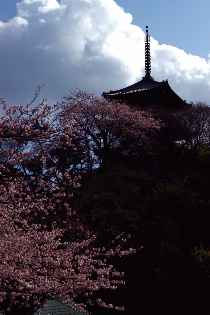 雲、塔、桜