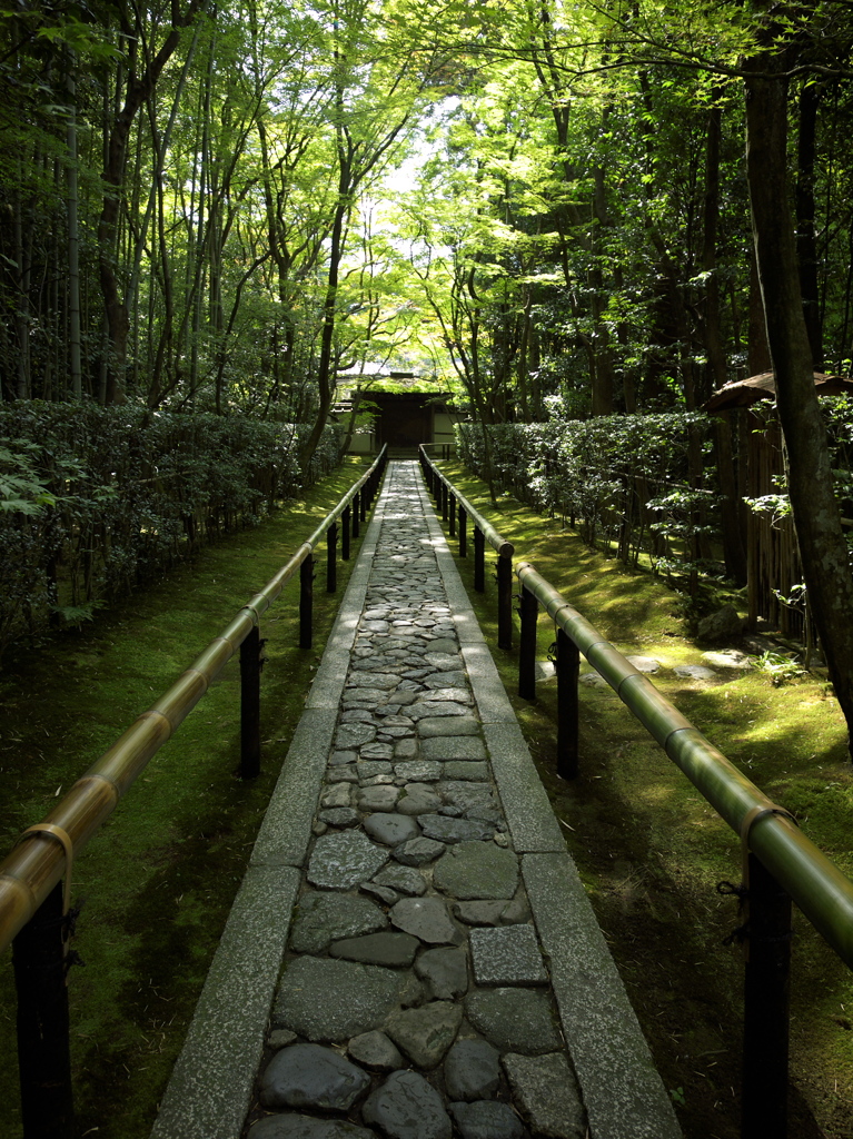 高桐院