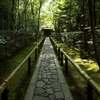 高桐院