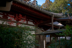 日本の風景