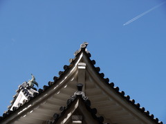 飛行中