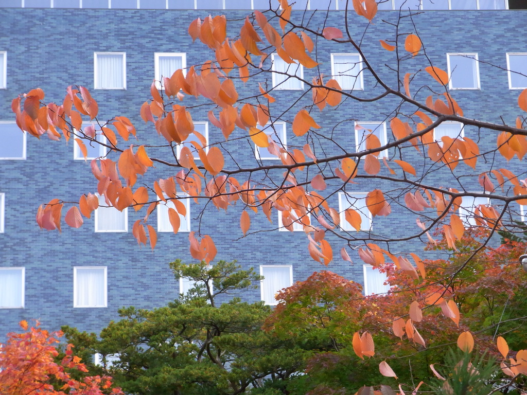 札幌・中島公園