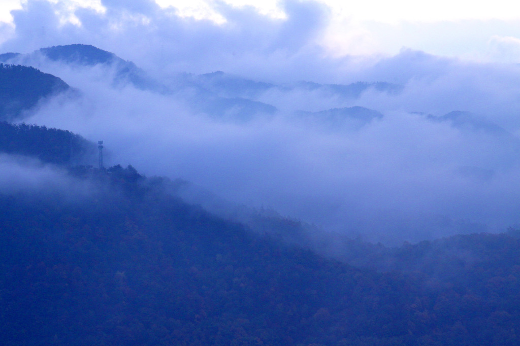 里山の霧景