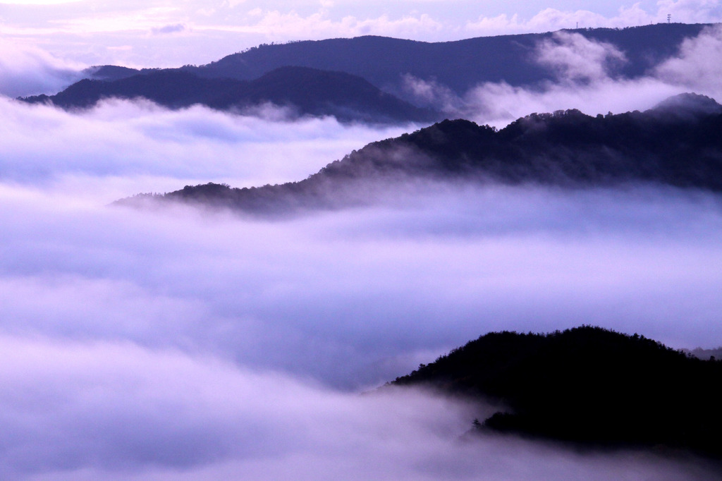 里山の朝