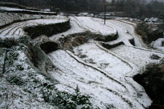 里山の冬