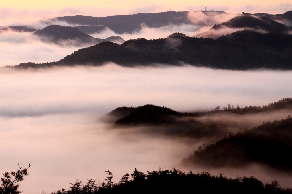 里山の霧