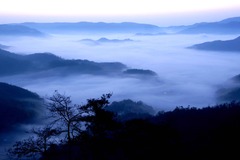 雲海