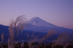 夕焼け富士とススキ