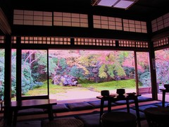 2009京都の紅葉《瑠璃光院01》