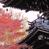 2009京都の紅葉《真如堂02》