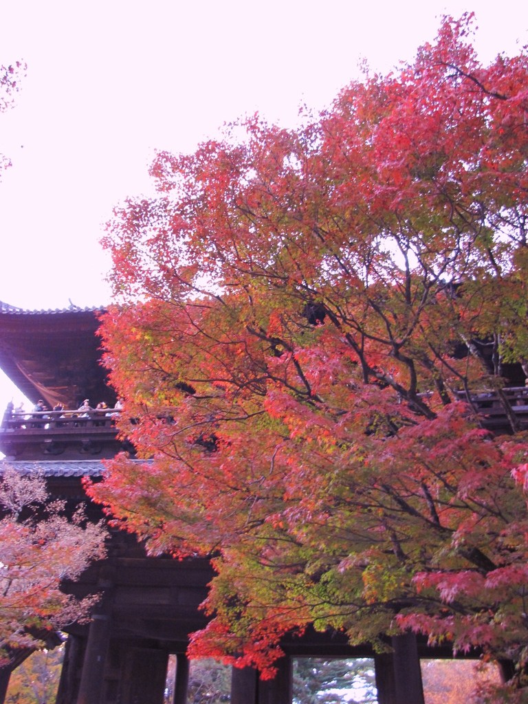 2009京都の紅葉《南禅寺三門02》
