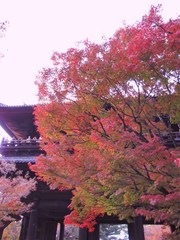 2009京都の紅葉《南禅寺三門02》