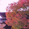 2009京都の紅葉《南禅寺三門02》