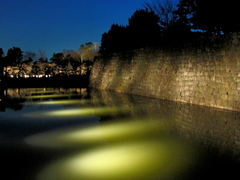 2009京都　二条城05