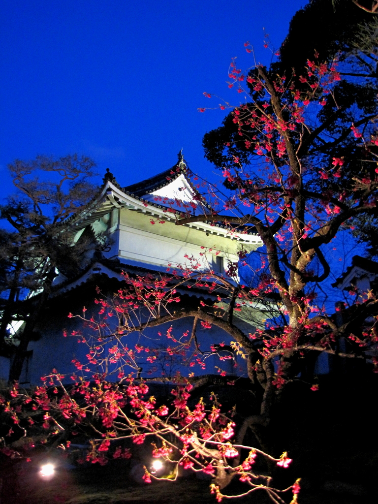 2009京都　二条城03