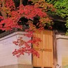 2009京都の紅葉《哲学の道02》