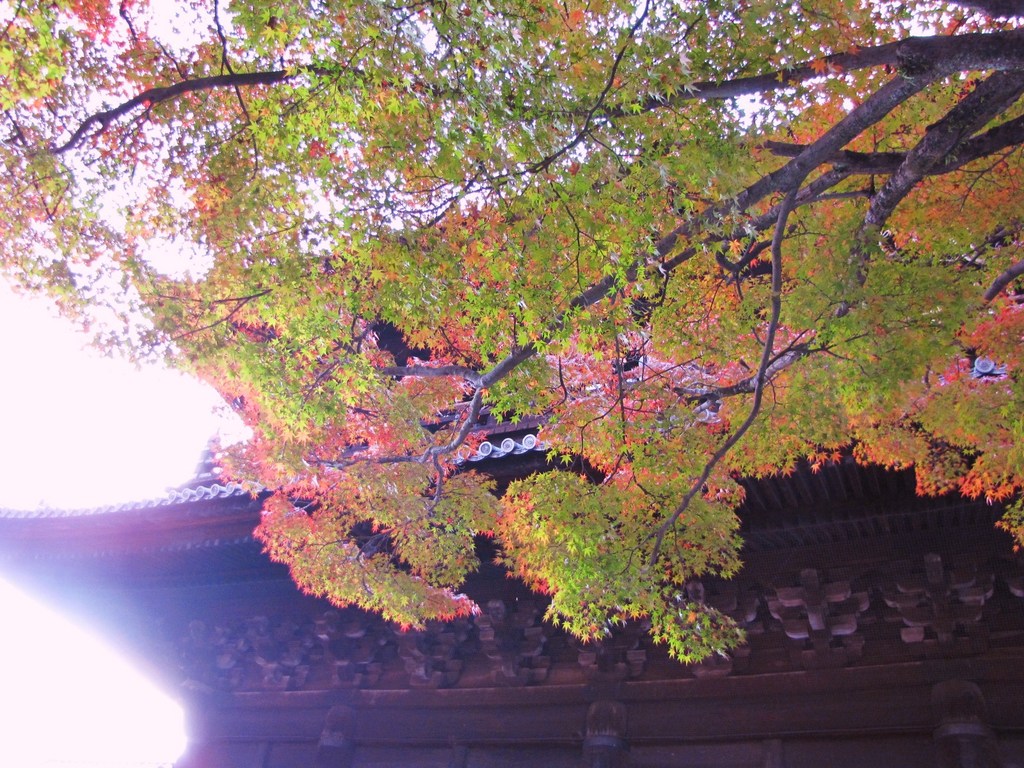 2009京都の紅葉《南禅寺三門01》