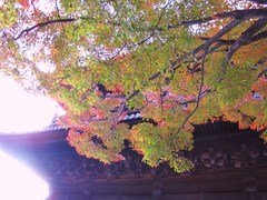 2009京都の紅葉《南禅寺三門01》