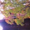 2009京都の紅葉《南禅寺三門01》