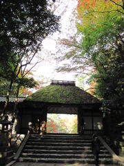 2009京都の紅葉《法然院01》