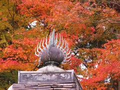 2009京都の紅葉《昆沙門堂06》