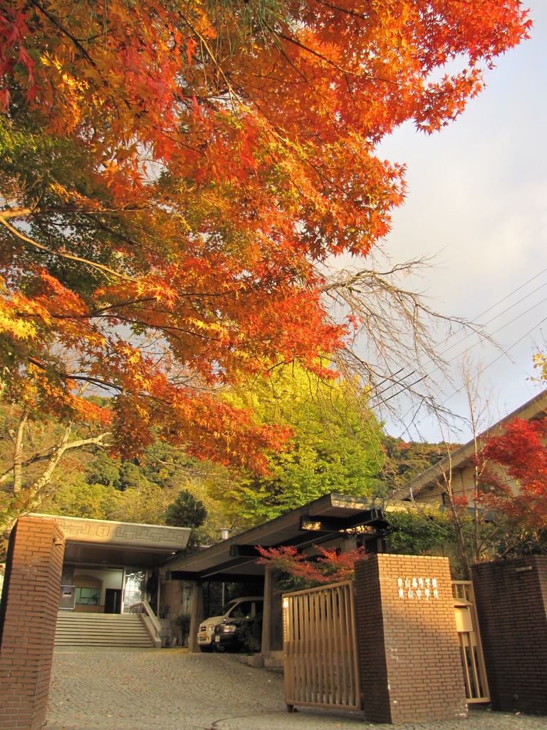 2009京都の紅葉《東山高等学校》