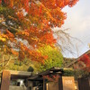 2009京都の紅葉《東山高等学校》