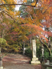 2009京都の紅葉《昆沙門堂01》