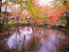 2009京都の紅葉《曼殊院》