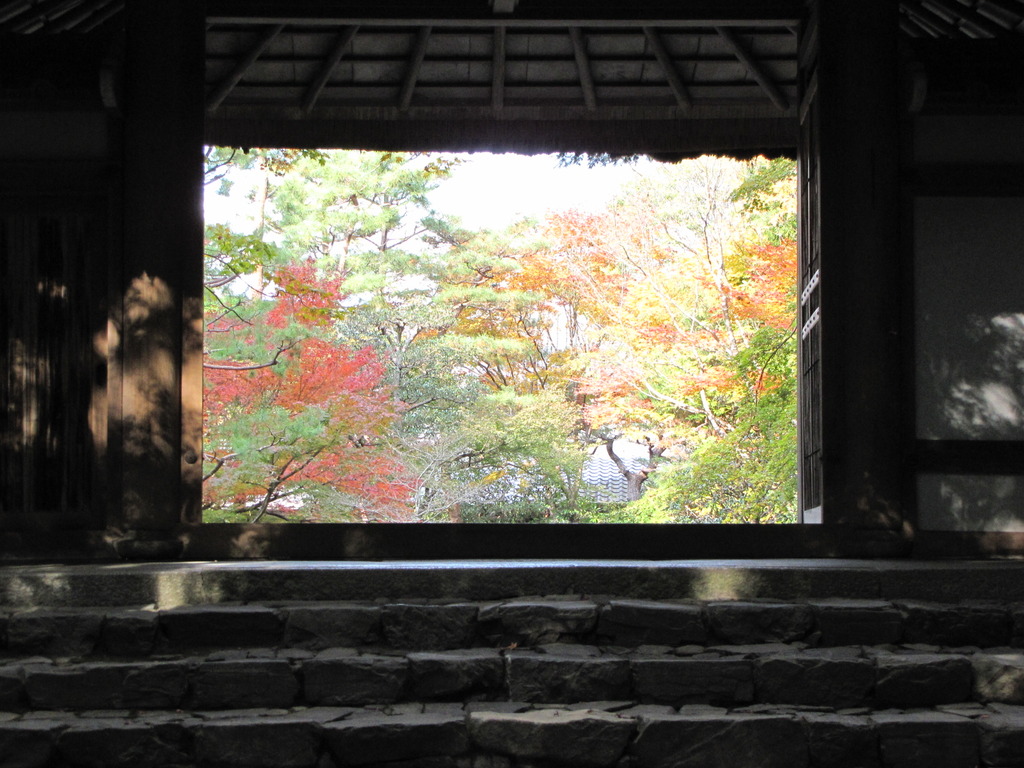 2009京都の紅葉《法然院02》