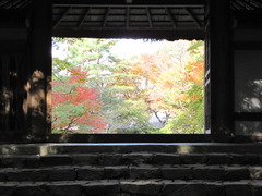2009京都の紅葉《法然院02》