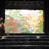 2009京都の紅葉《法然院02》