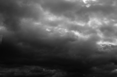 SDIM0019