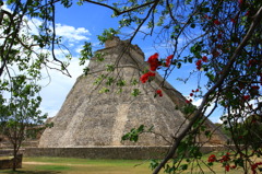 赤い花とピラミッド。