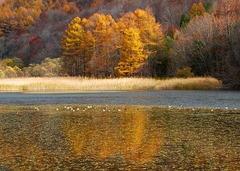 晩秋の裏磐梯－１