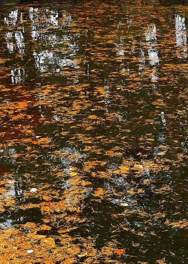 晩秋の裏磐梯－３