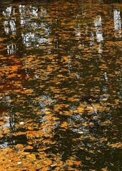 晩秋の裏磐梯－３