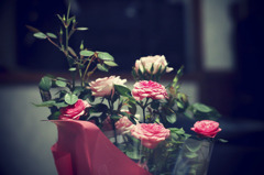 ミニ薔薇